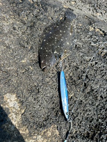釣果