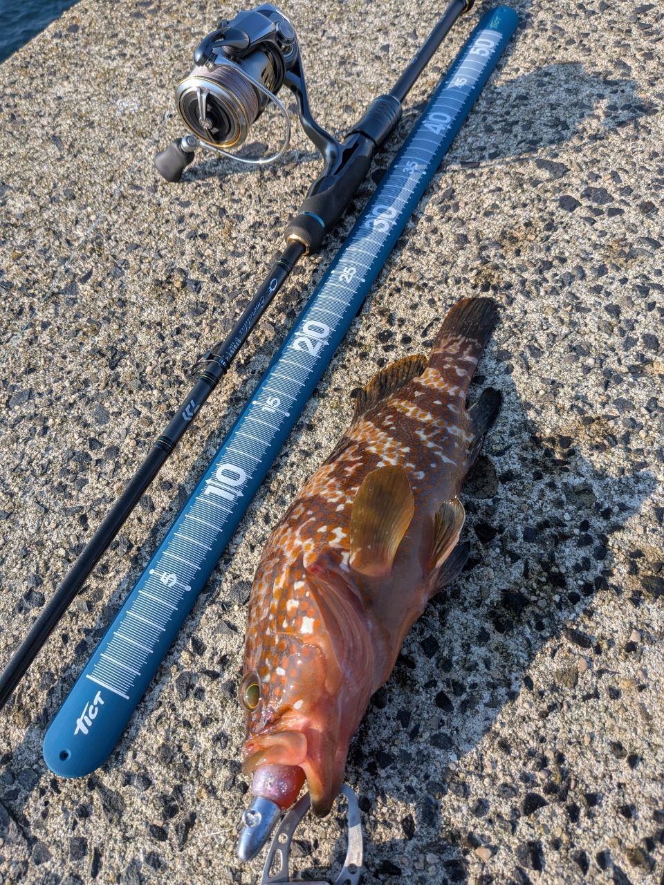 DAIWA 23エメラルダス ストイスト ST（アウトガイドモデル