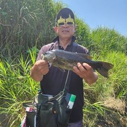 スモールマウスバス