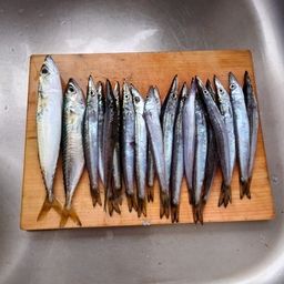 カマス