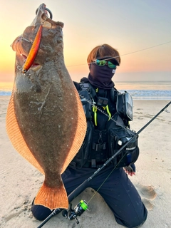 ヒラメの釣果