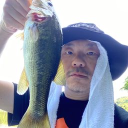 ブラックバス