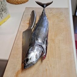 マルソウダ
