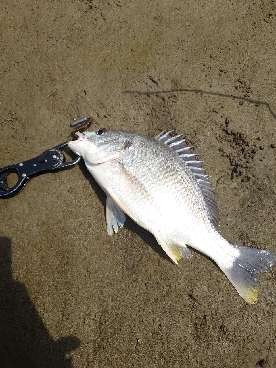 宇崎日新N's遠投4-450 宇崎日新 ソルティー磯スペシャル 4-450遠投 KW仕様 大型便A