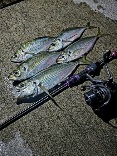 釣果
