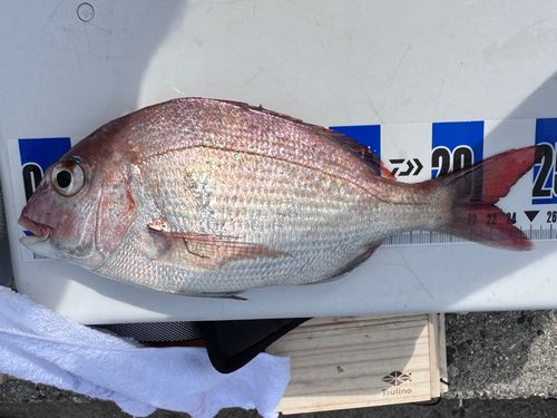 釣果