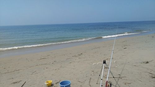 キスの釣果