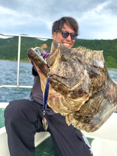 ヒラメの釣果