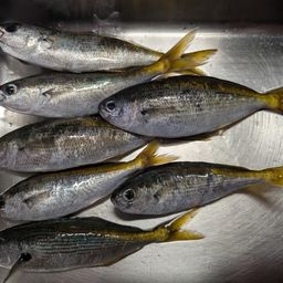 タカベ