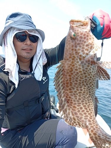 オオモンハタの釣果