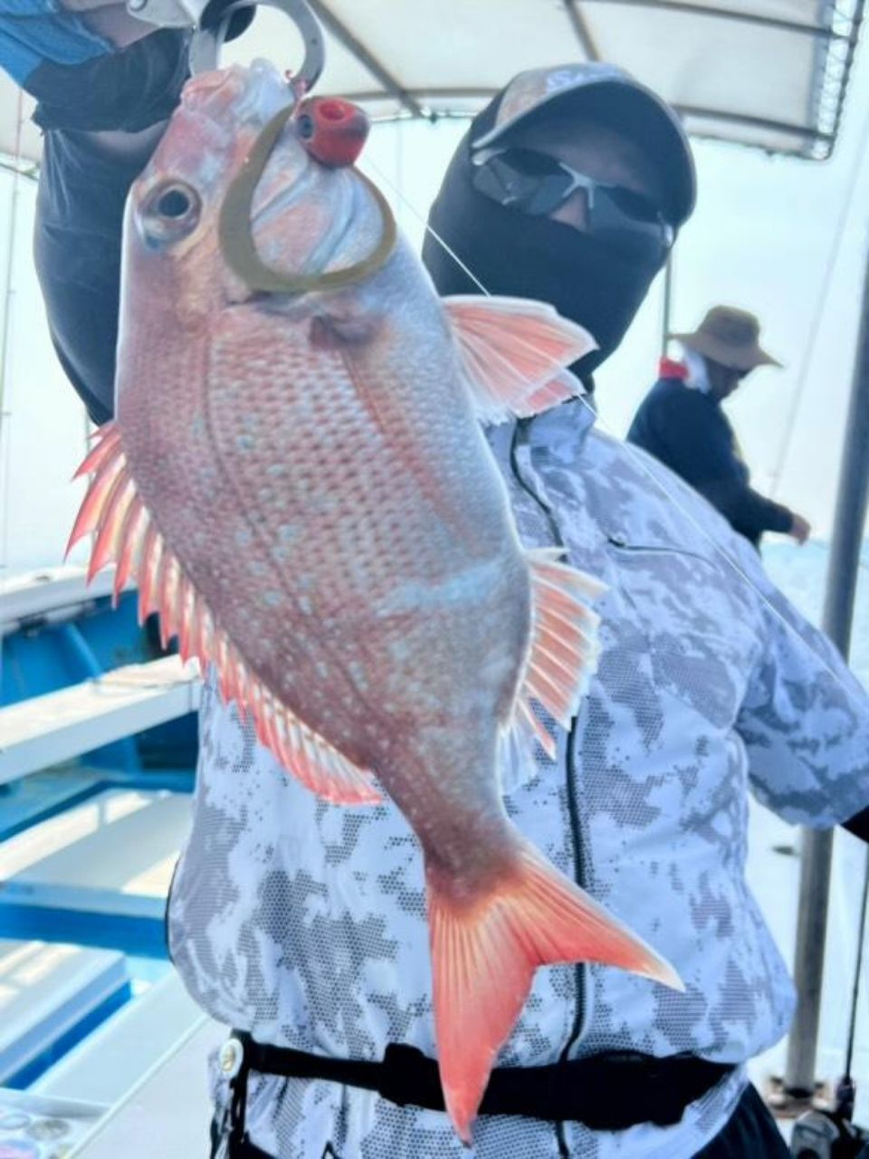 かわぐーさんの釣果 3枚目の画像