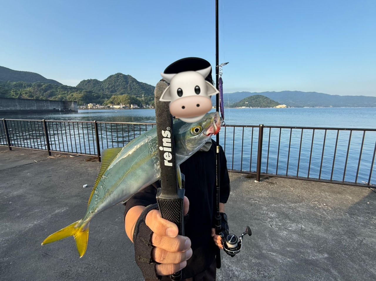 ソウダガツオ