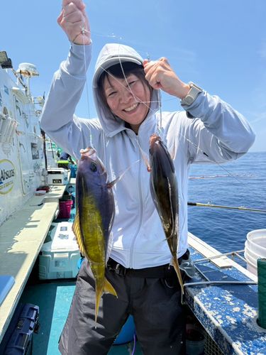 カンパチの釣果
