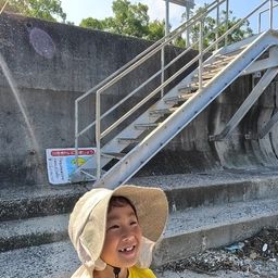 コノシロ