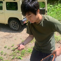 ヤマトイワナ
