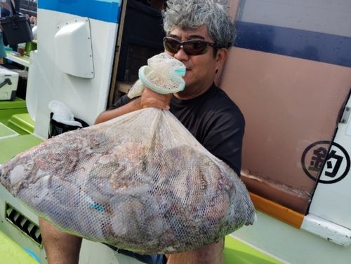 マダコの釣果