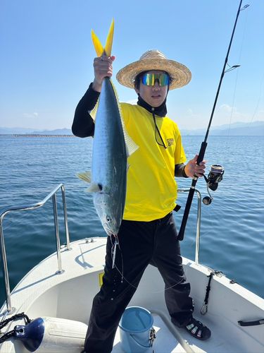ブリの釣果