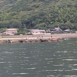アジ