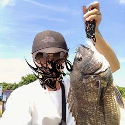 クロダイ
