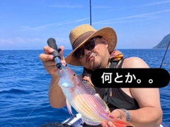 イトヨリダイの釣果