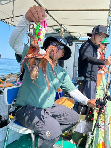 タコの釣果