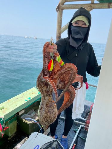タコの釣果