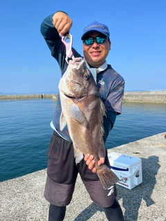 コショウダイの釣果