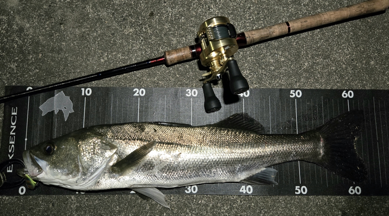 SHIMANO 19スコーピオン 1703R-2の最安値・インプレ・釣果