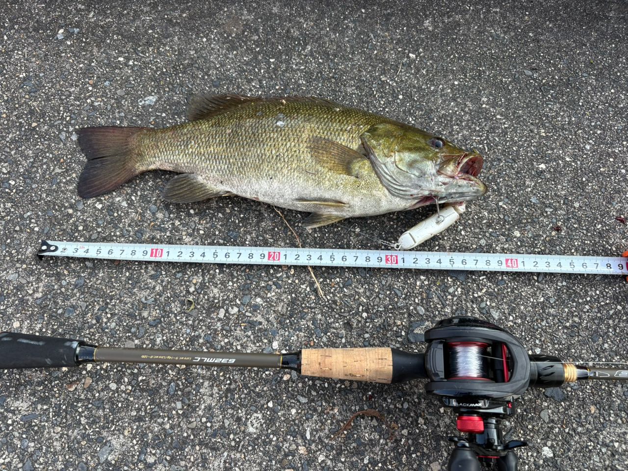 スモールマウスバス