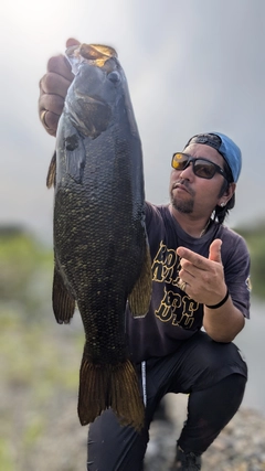 スモールマウスバスの釣果