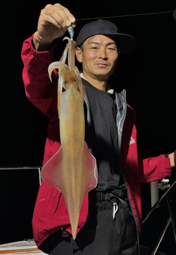 シロイカの釣果
