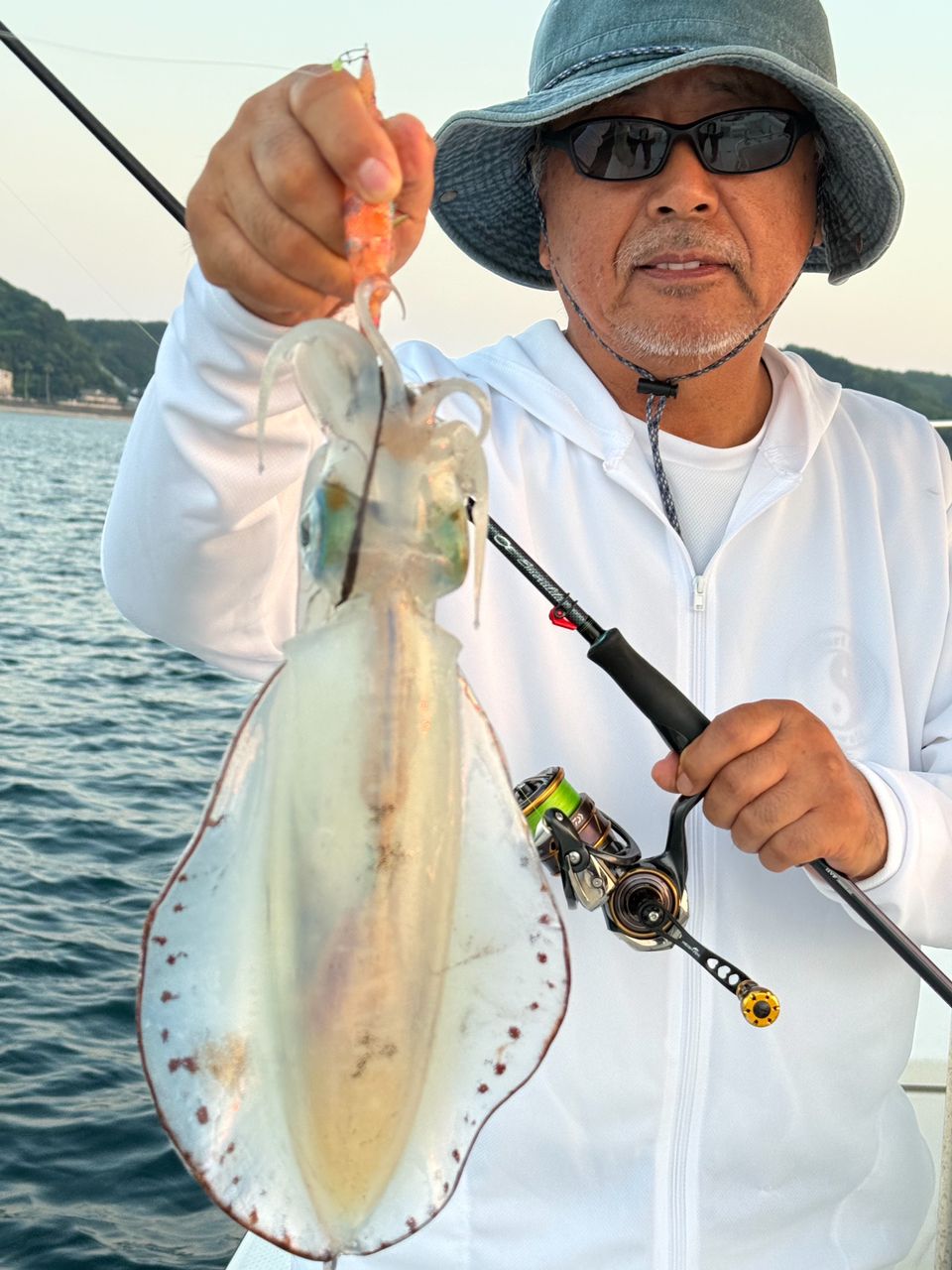 アオリイカ