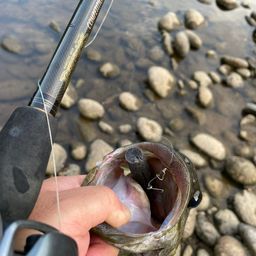 スモールマウスバス