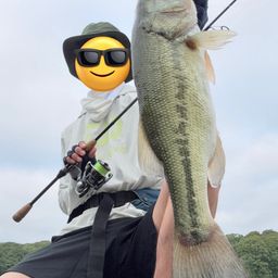 ブラックバス
