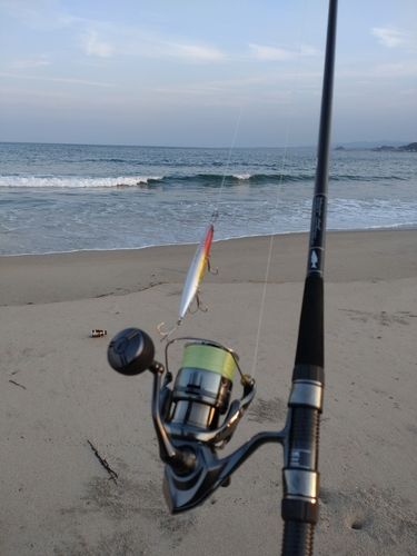 カニの釣果