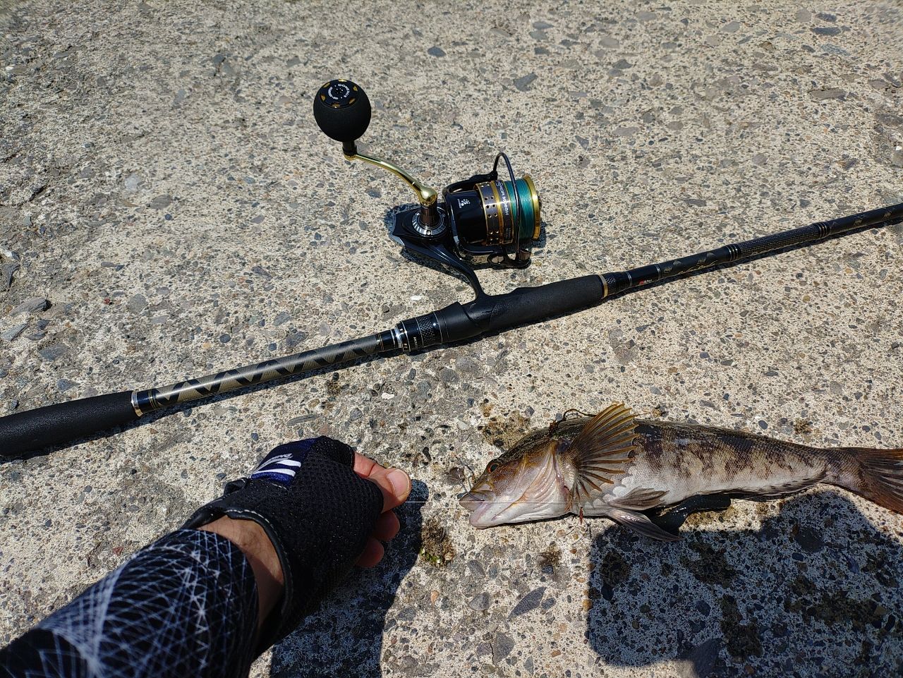 AbuGarcia ソルティースタイルロックフィッシュ STRS-802MH-KRの