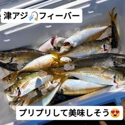 アジ