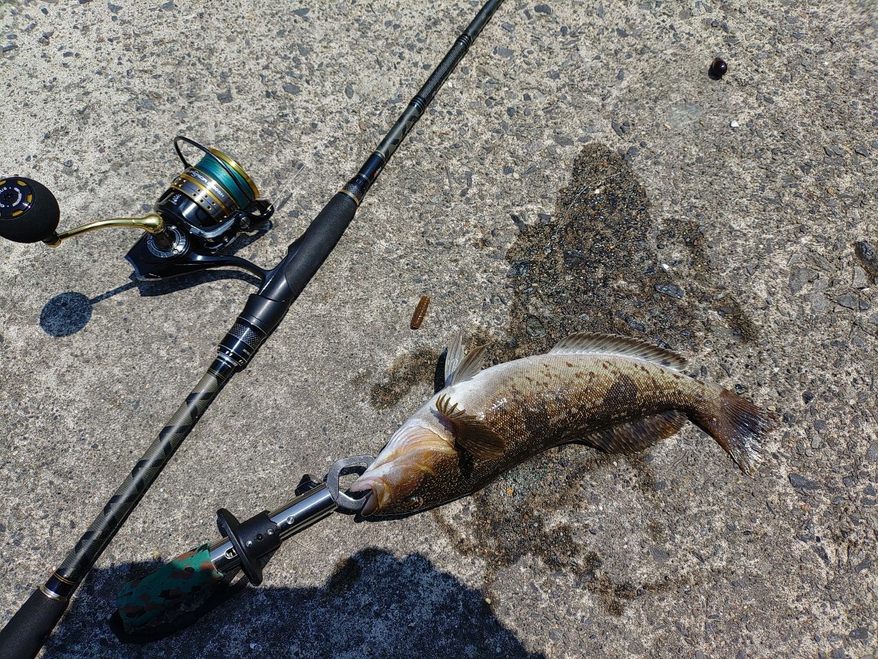 AbuGarcia ソルティースタイルロックフィッシュ STRS-802MH-KRの