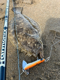 ヒラメの釣果