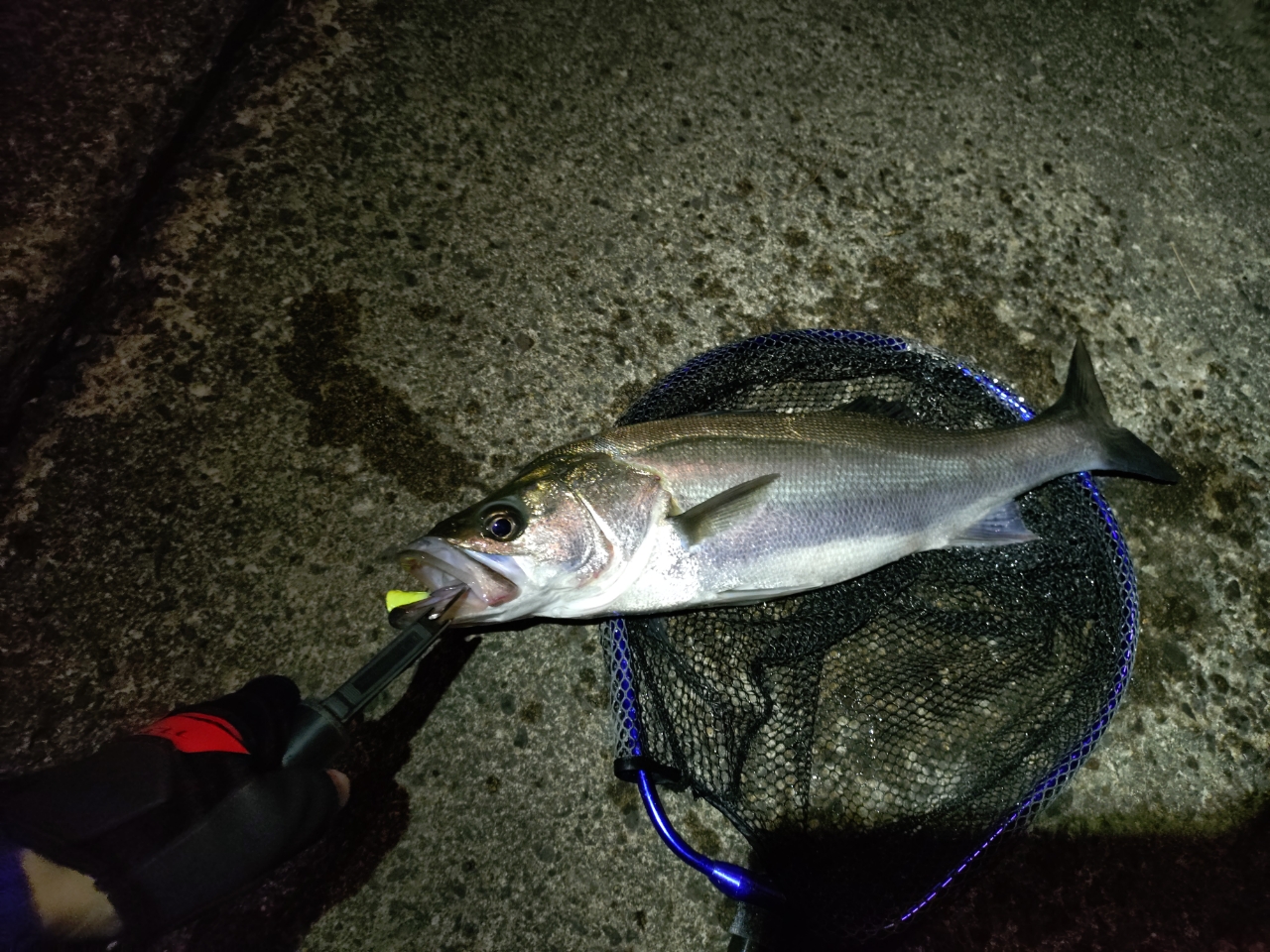 AbuGarcia ソルティーステージ プロトタイプ ベイトフィネス
