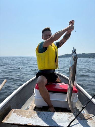 タチウオの釣果