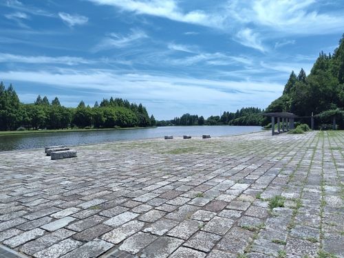 ブルーギルの釣果