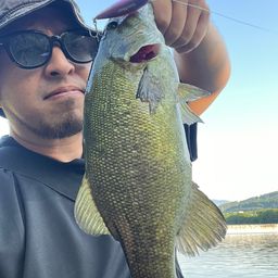 スモールマウスバス