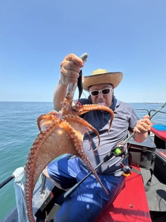 タコの釣果