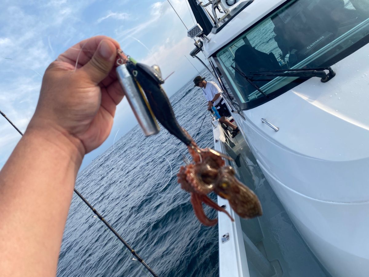 kuni11さんの釣果 2枚目の画像