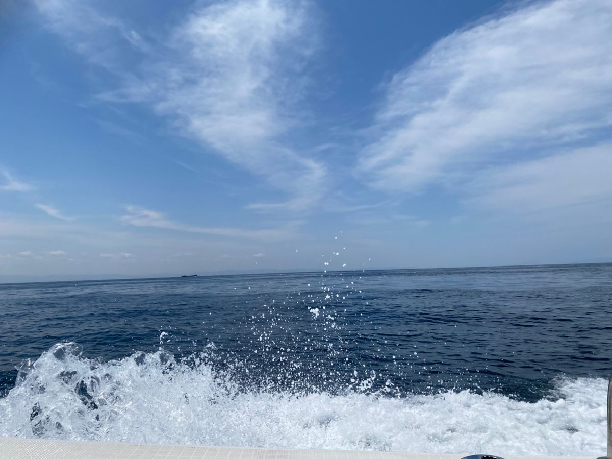 kuni11さんの釣果 3枚目の画像