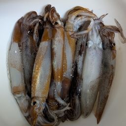 マイカ