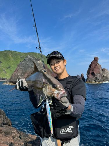 ショゴの釣果