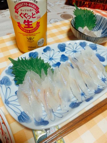 キスの釣果