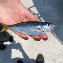 タカベ